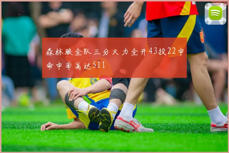 森林狼全队三分火力全开43投22中命中率高达511