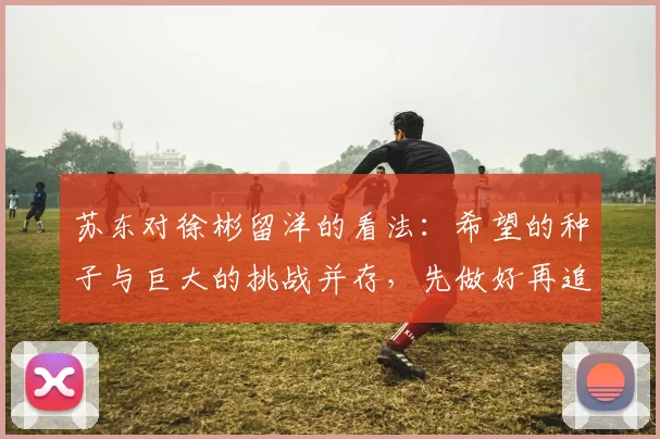 苏东对徐彬留洋的看法：希望的种子与巨大的挑战并存，先做好再追求完美